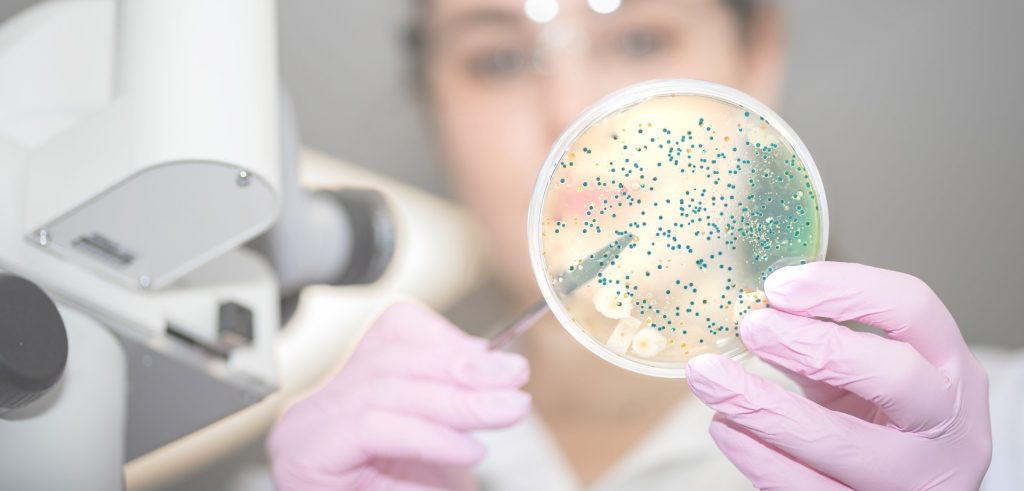 aktualni studie allergosan