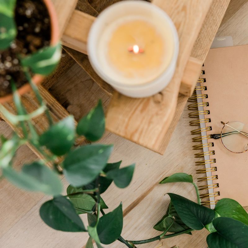 drazdivy tracnik tipy