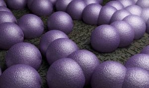 strevni bakterie firmicutes