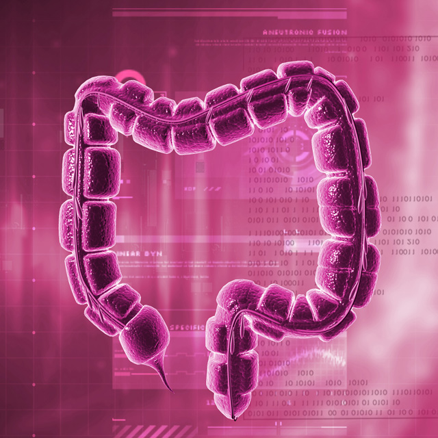 strevni mikroflora magenta