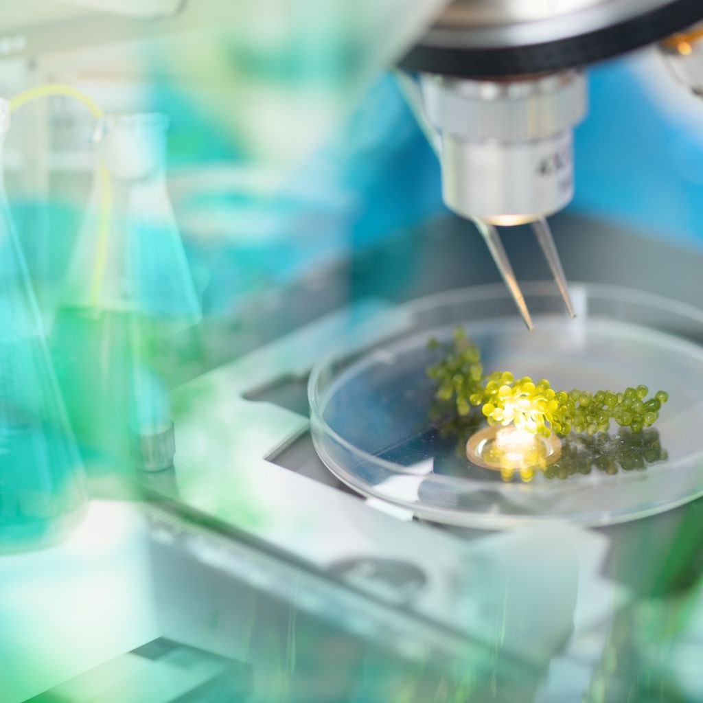 udrzitelnost v hospodarstvi