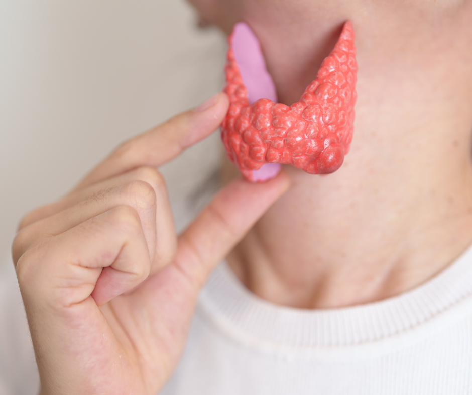 Stitna.Zlaza Hashimoto