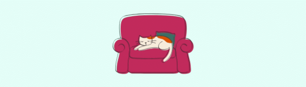 Ohne Katze in den Urlaub