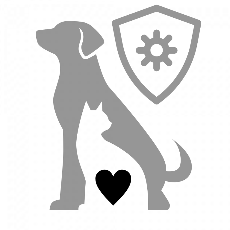 Immunsystem Hund Katze