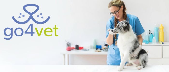 go4vet - jetzt qualifizierte Tierärzte in Ihrer Nähe finden