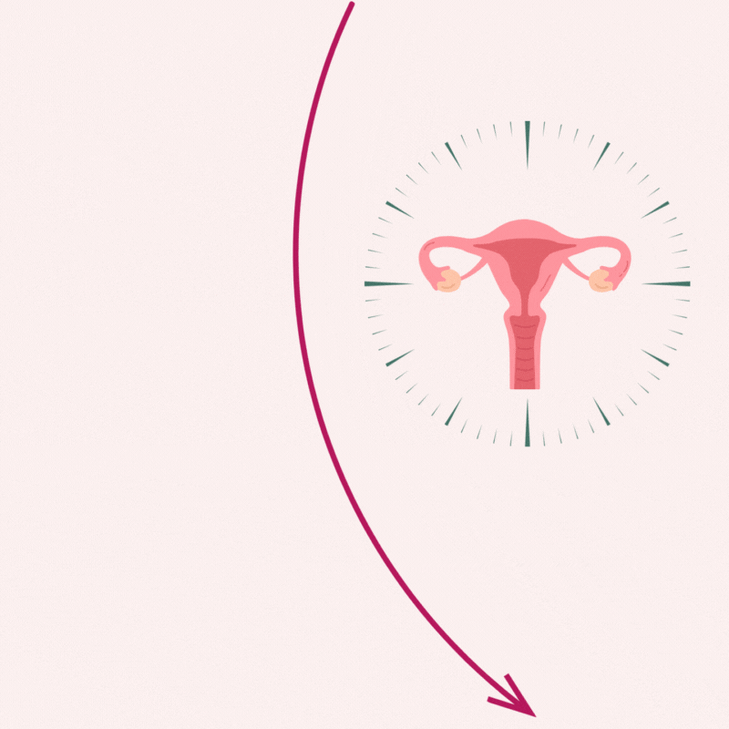 Phasen der Wechseljahre