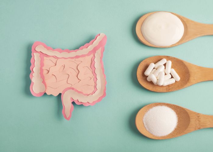 Probiotika und Präbiotika und ihre Auswirkung auf die Darmflora und Wechseljahre