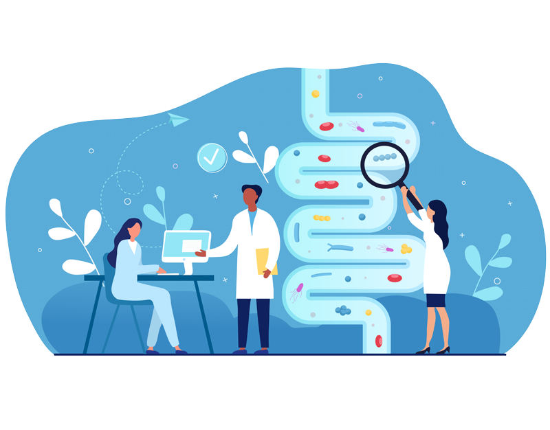 Die Funktionen des Darmmikrobioms