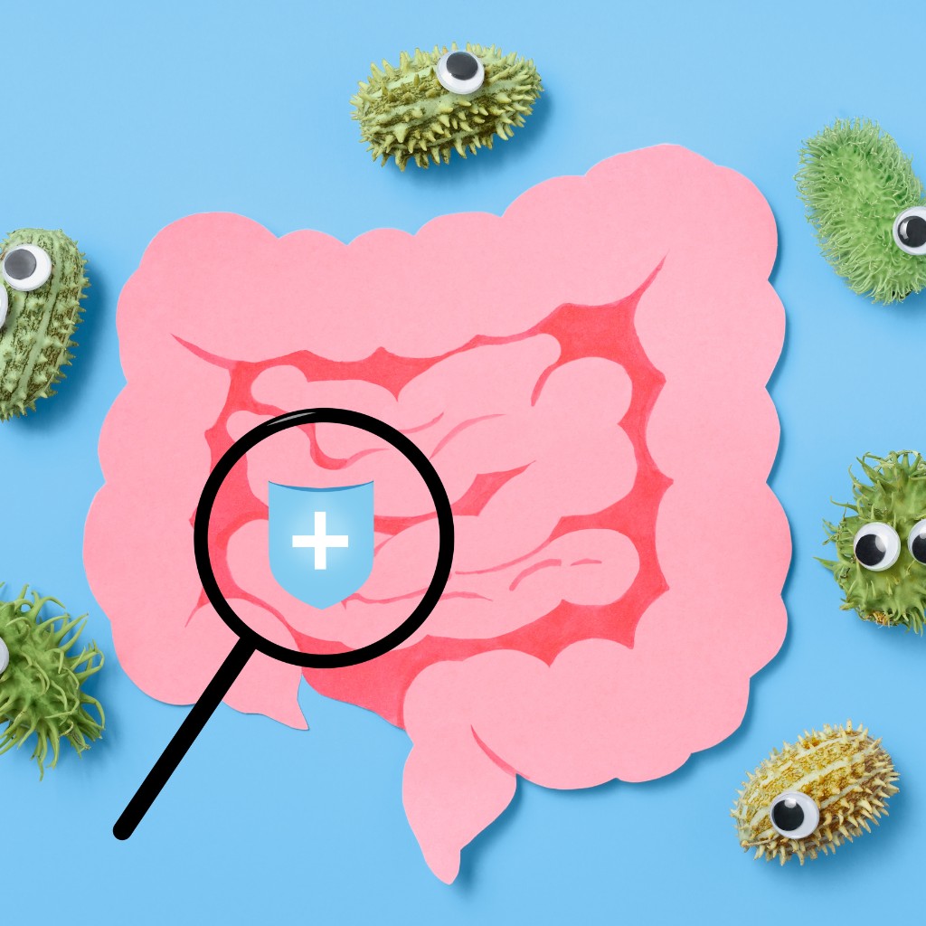 Darmgesundheit - Bakterien besiedeln den Darm