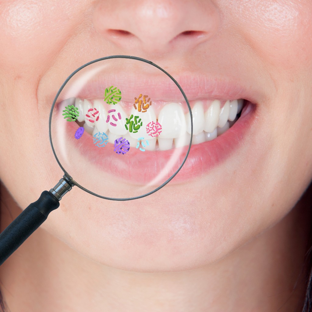 Mundmikrobiom