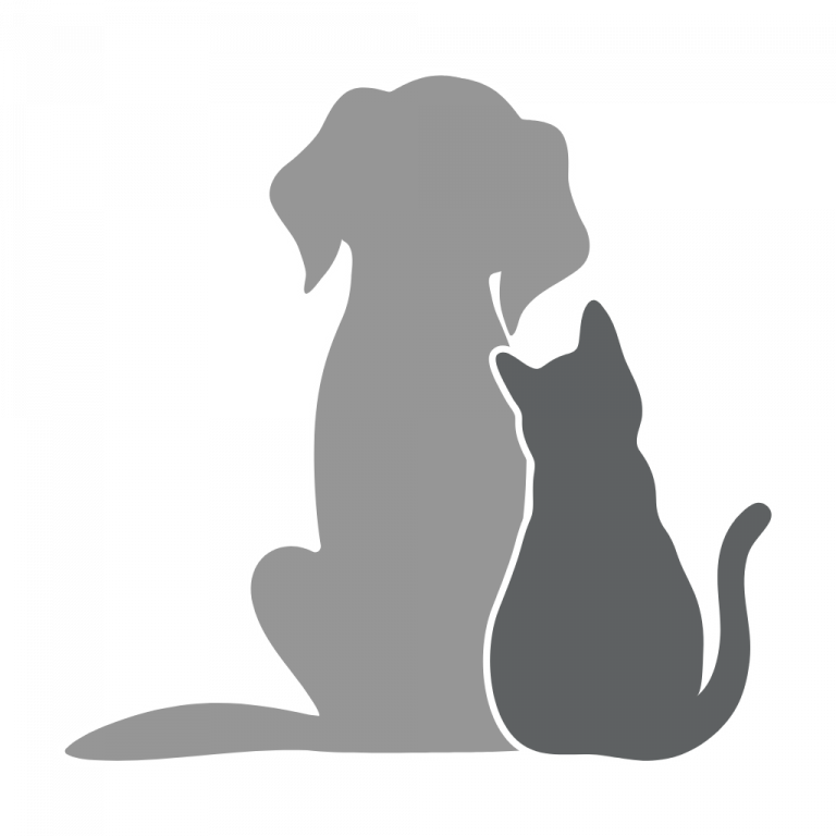 grafische Darstellung von Hund und Katze nebeneinander sitzend