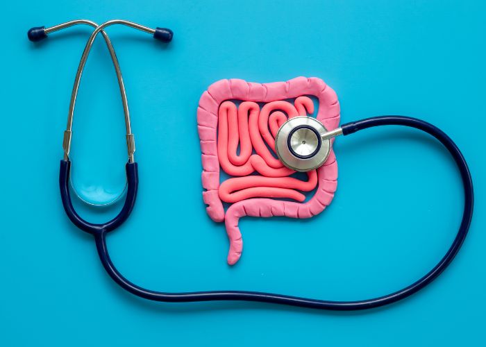 Darm und Immunsystem arbeiten eng zusammen