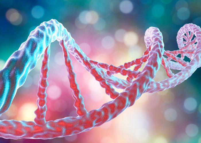 Erbliche Vorbelastung sorgt für Allergien