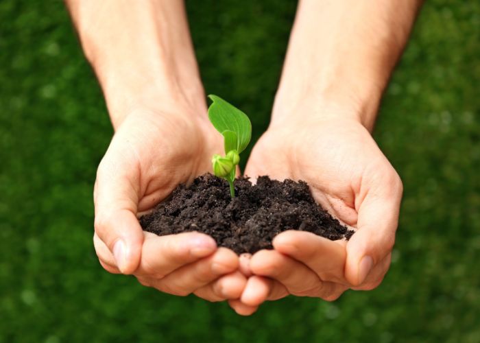 Mit Huminsäuren Schadstoffe natürlich ausleiten