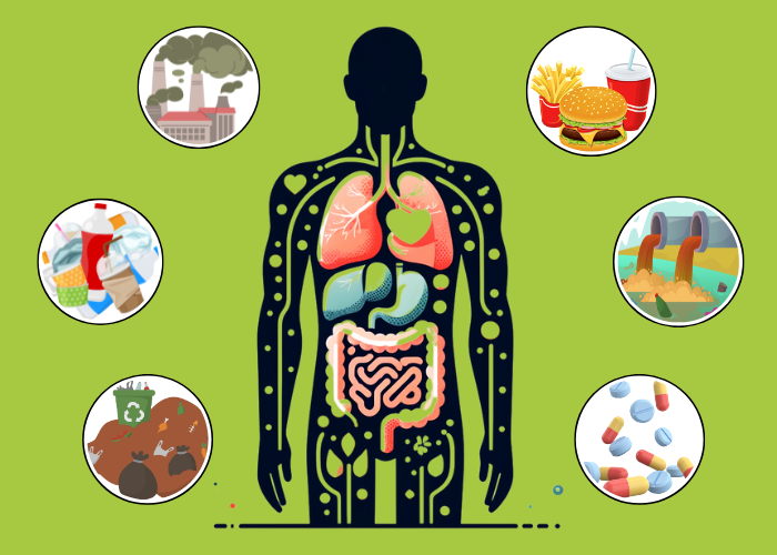 Schadstoffe natürlich im Griff