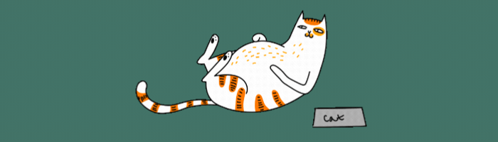 Katze bei der Verdauung von Futter