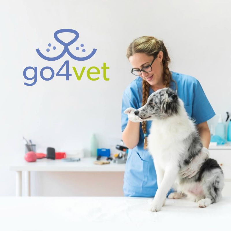 go4vet: finden Sie qualifizierte Tierärzte in Ihrer Nähe