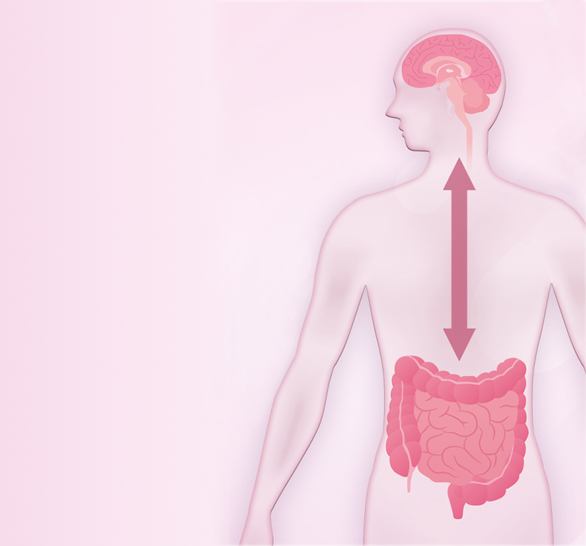 gut brain axis psychobiotics