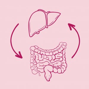 gut liver axis