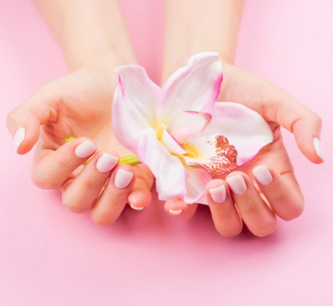 Los lactobacillus previenen las infecciones vaginales.