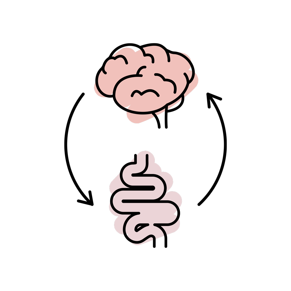 Eje intestino cerebro
