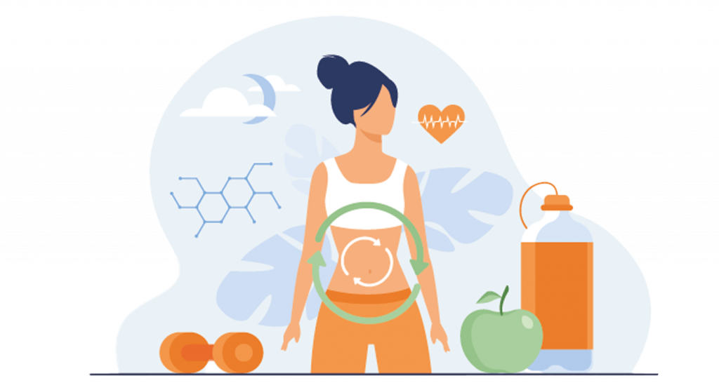 Acelera el metabolismo. Figura de una mujer marcando sus intestinos.