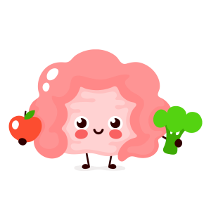 Salud Intestinal - Intestino con manzana y brocoli