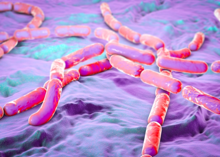 piel-bacterias-intestino