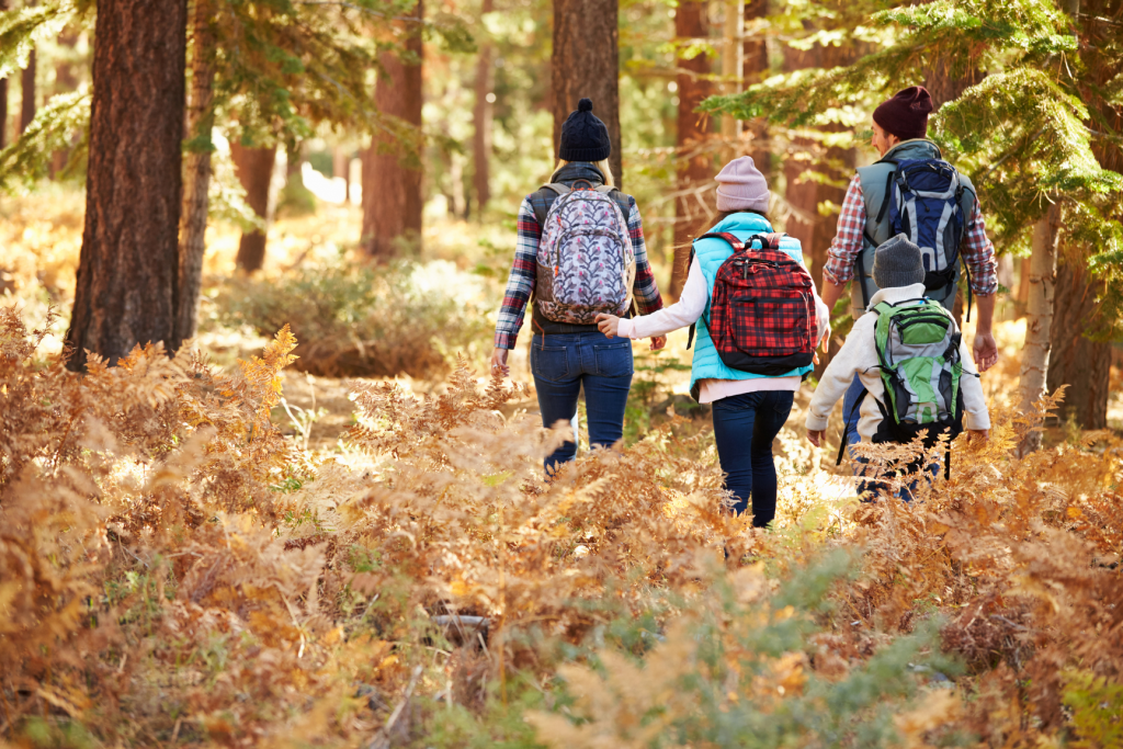 Familia en el bosque caminando