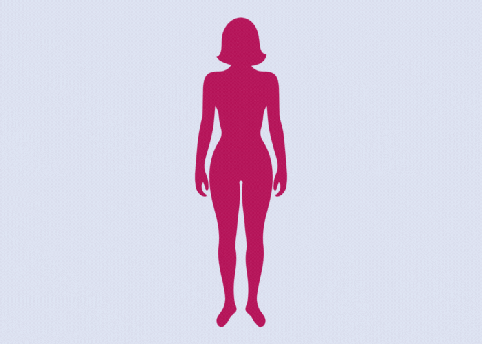 efectos de la menopausia