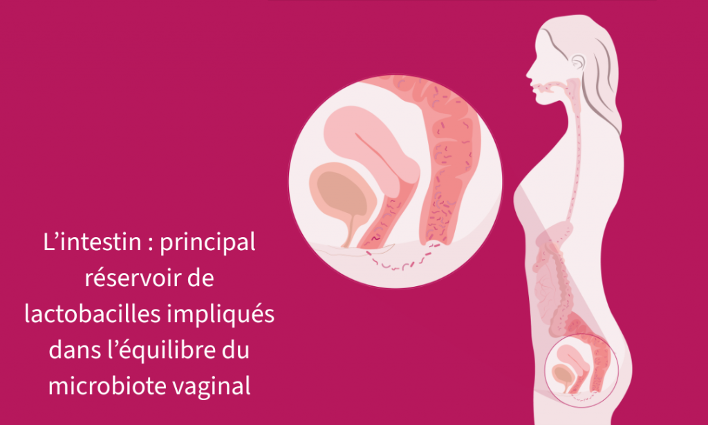 Santé des femmes : infection urinaire après rapports sexuels