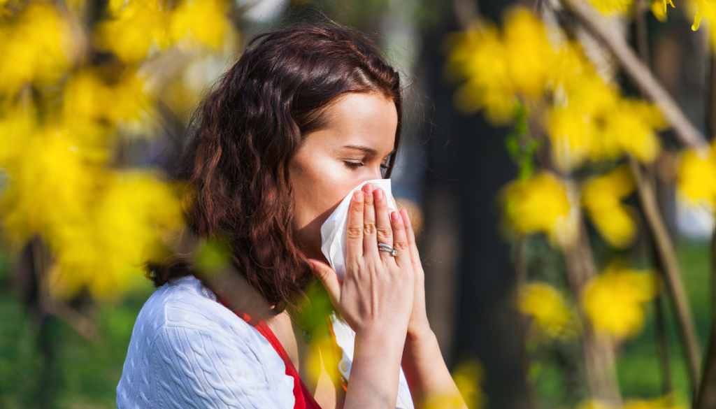 Le mécanisme d'une réaction allergique