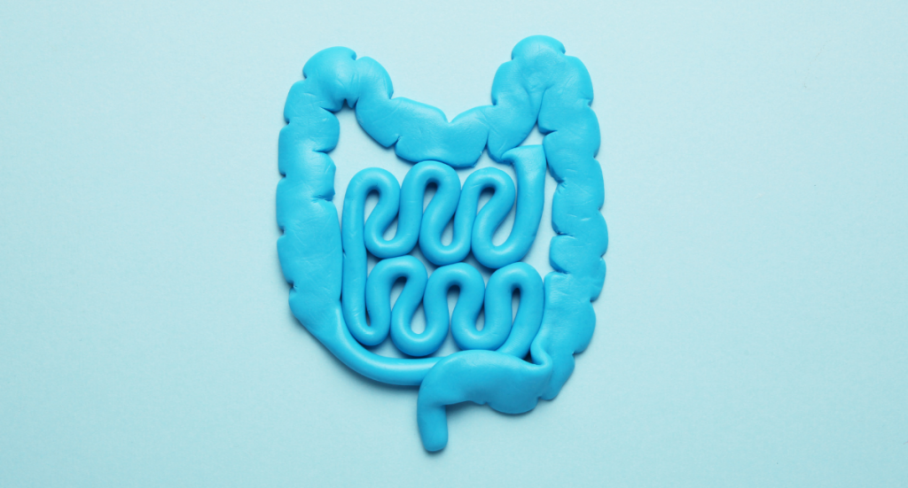 Les causes de l'hyperperméabilité intestinale