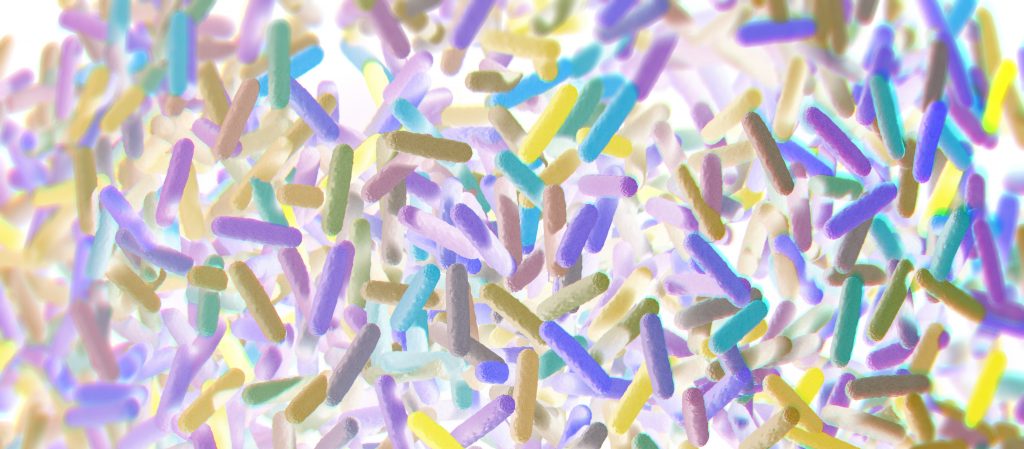 Médicaments : des probiotiques pour soutenir la flore intestinale