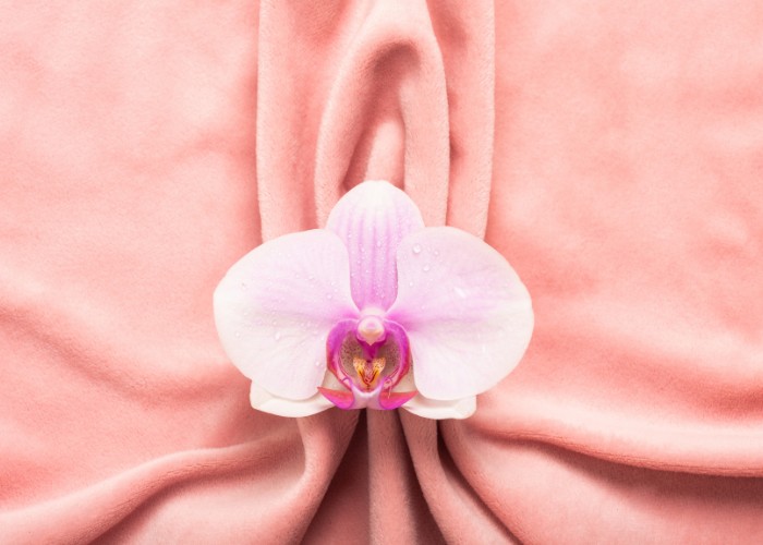 Impact des contraceptifs sur le microbiote vaginal - des probiotiques à base de bactéries lactéries pour soutenir la flore intime