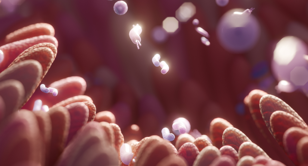 Des psychobiotiques : effets sur la santé mentale et la dépression