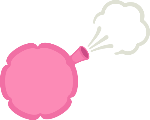 Ballonnements, ventre gonflé, pets : les causes