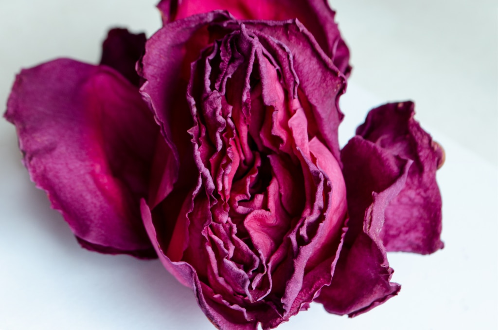 Sécheresse vaginale : causes et traitements