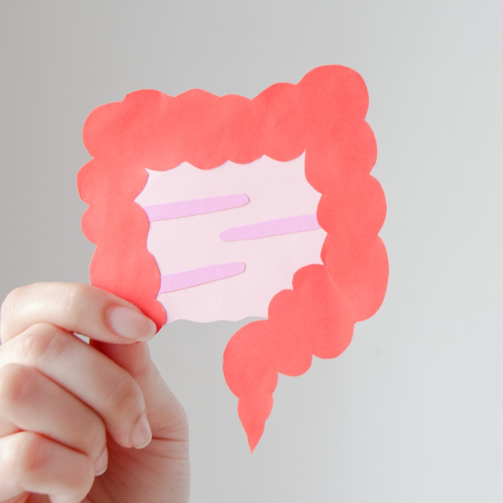 L'intestin : un organe clé pour notre bien-être