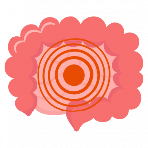 La muqueuse intestinale, une barriére naturelle