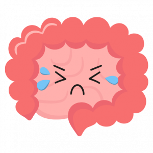 Hyperperméabilité intestinale