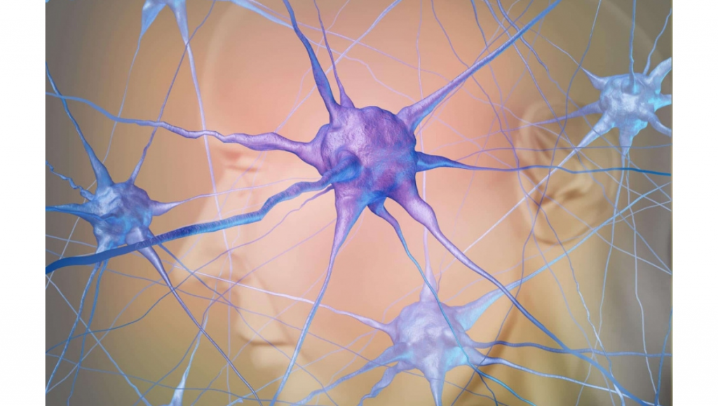 La maladie d'Alzheimer : c'ets quoi ?