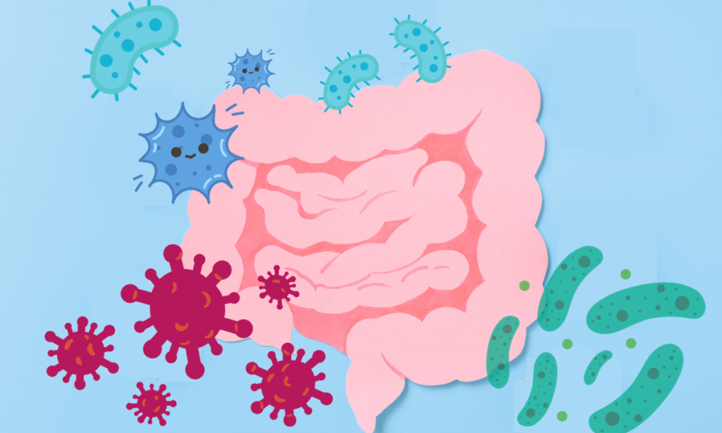 coloscopie bacterie intestinale