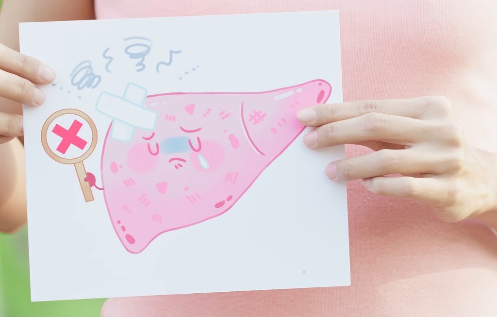 Les maladies du foie : de la stéatose hépatique à la cirrhose