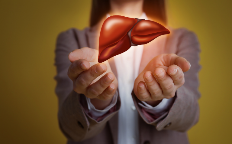 Stéatose hépatique / Maladie du foie gras