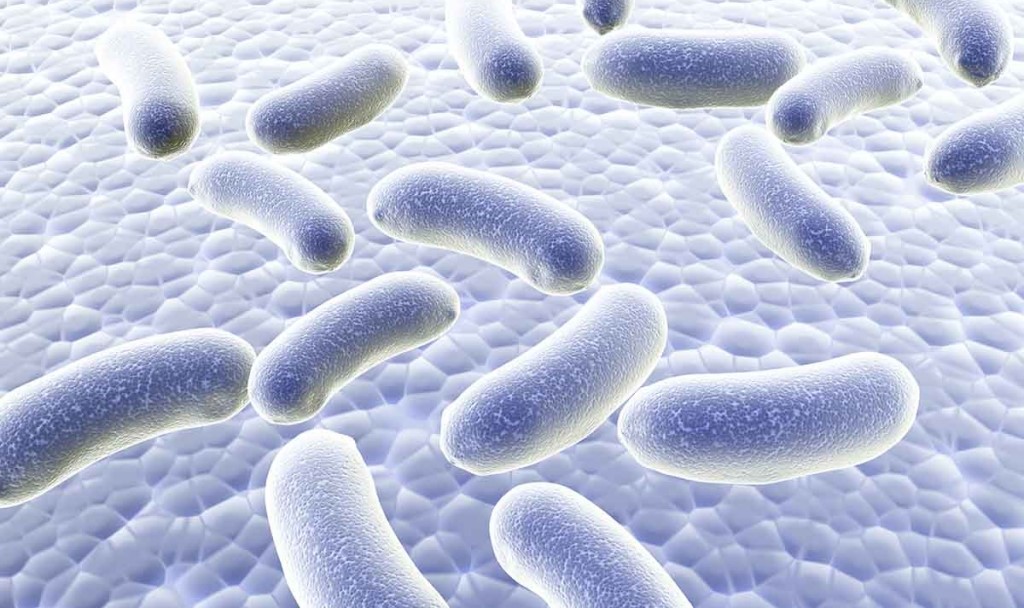 les hormones et leur lien avec l'intestin