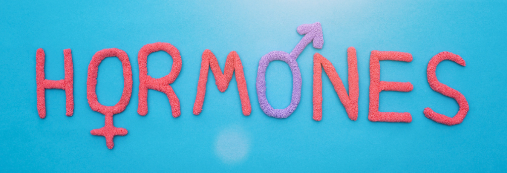 hormones intestins liens