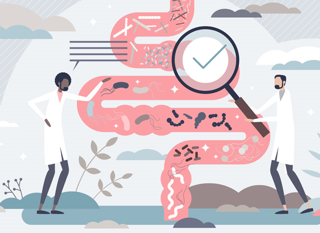 Polyarthrite rhumatoïde, microbiome et probiotiques