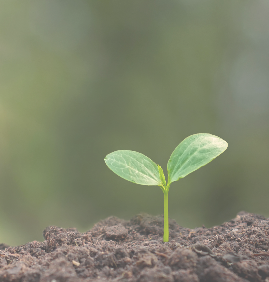 durabilite environnement