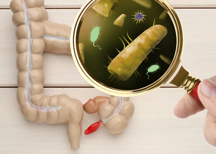 Des compléments alimentaires pour perdre du poids ?